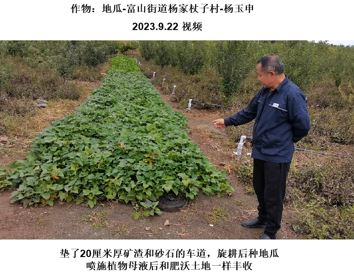 生地农作物效果