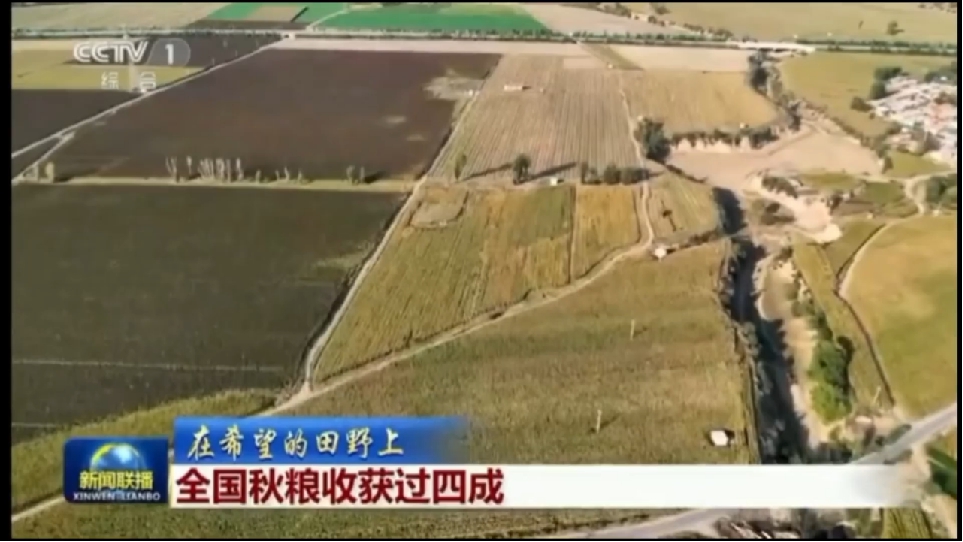 央视采访 谷子增产视频